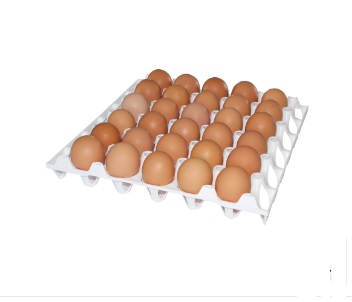  Фото №4 - Лоток для яиц (20). Артикул: 05043 Милих