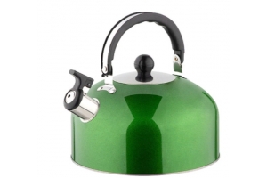 Чайник, Casual, объем 2,7 л, со свистком, из нержавеющей стали, окрашенный, цвет: зеленый. Артикул: 985625