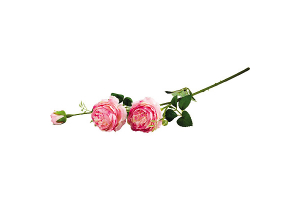 Цветок "Роза пионовидная" (2цветка+1бутон). Артикул: 004072