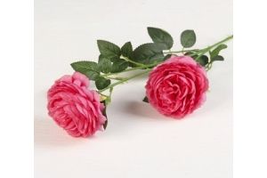 Цветы искусственные "Роза терция" 8*60 см, малиновый. Артикул: 3556634