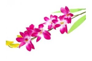 Цветы иск орхидея гастрорхис 70 см бело-фиолет. Артикул: 701718