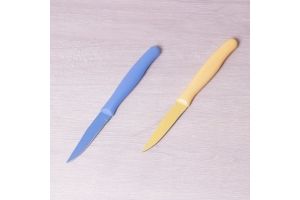Нож для чистки овощей из нержавеющей стали с покрытием `non-stick` и пластиковой ручкой (лезвие 9см). Артикул: 5322